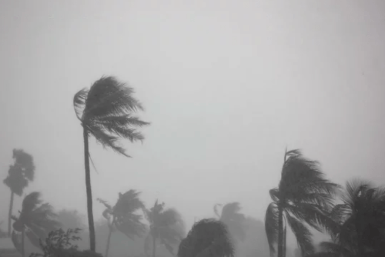 tender beneath your&nbsp;storm